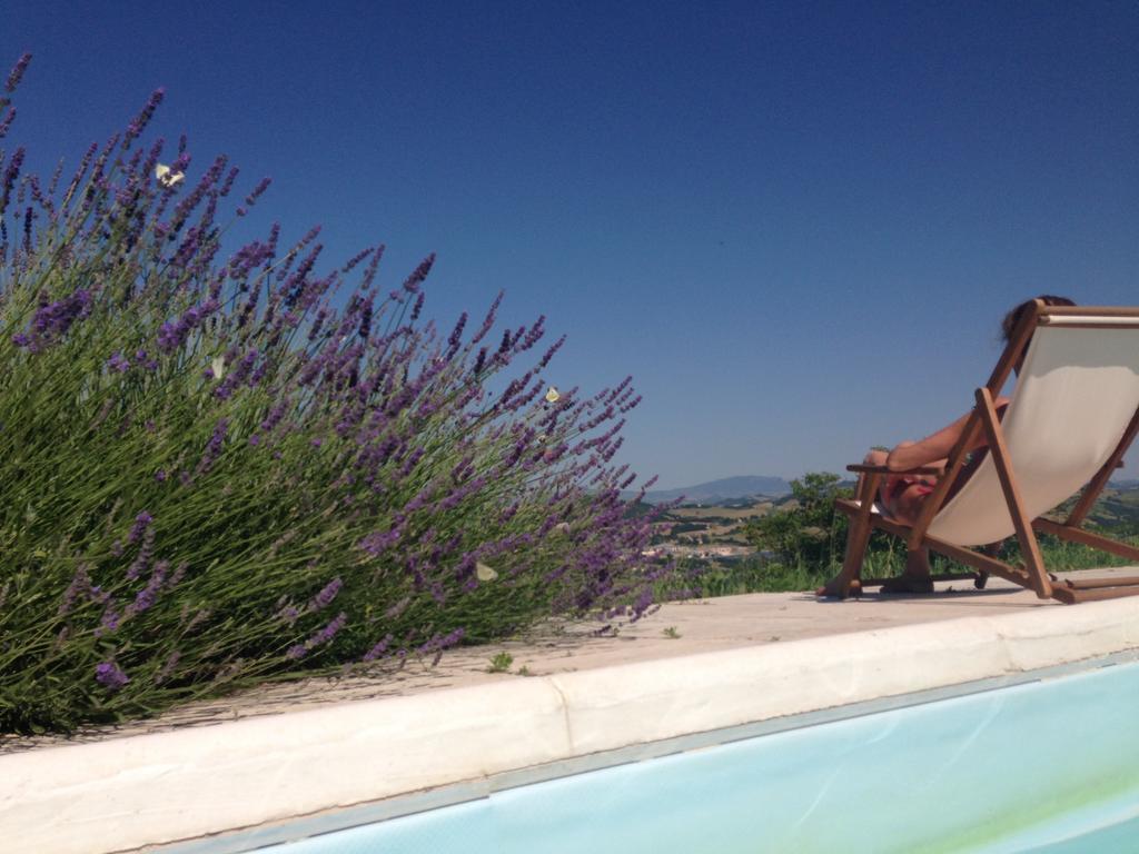 Agriturismo Il Fienile Di Ca Battista Cagli Exterior photo